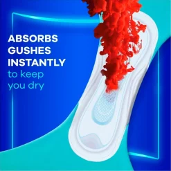 Always Ultra Day Long Plus Maandverband