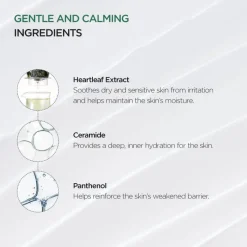 Anua Heartleaf 70% Intense Calming Cream