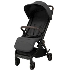 B-Micro Buggy