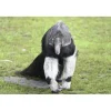 Cadeaubon: Entree Dierenpark Zie-ZOO