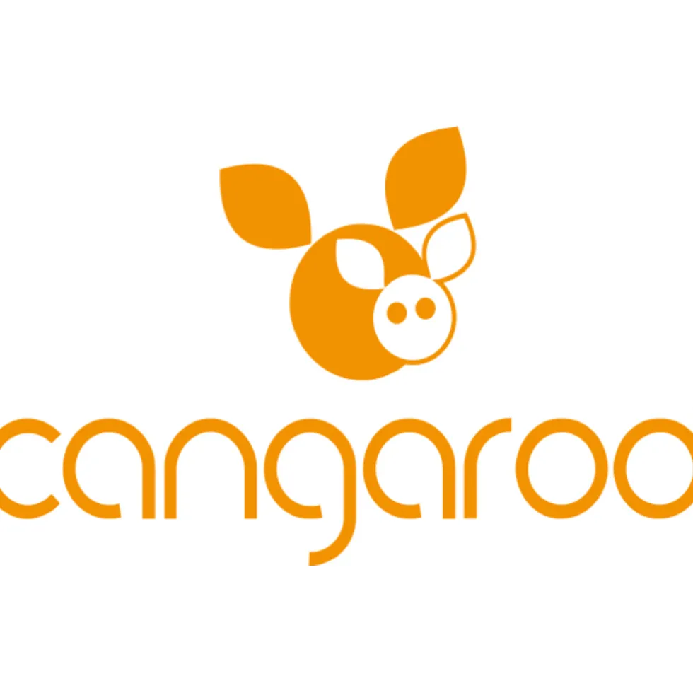 Cangaroo Grijs Freya Leeuw 75 x 105 cm Wiegdeken