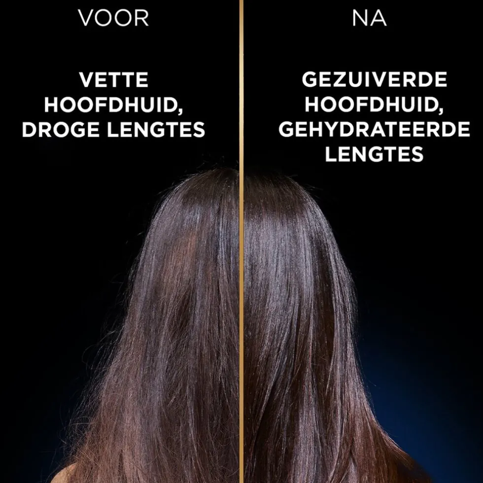 Garnier Loving Blends Magnetic Charcoal Shampoo