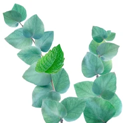 Kneipp Refreshing Mint-Eucalyptus Badschuim