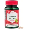 Kruidvat Ginkgo Biloba Tabletten