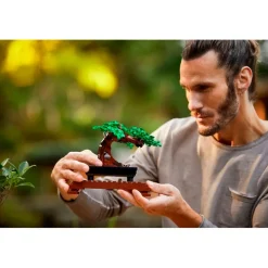 LEGO Creator Expert 10281 Bonsaiboompje