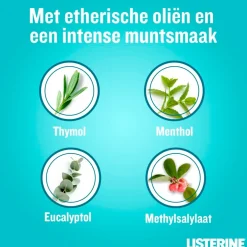 Listerine Cool Mint Mondspoeling