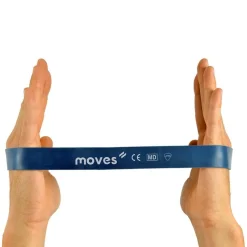 MoVeS Miniband