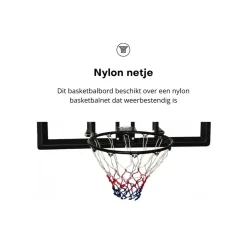 Pegasi basketbalbord School