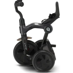 Qplay Ant Driewieler met duwstang