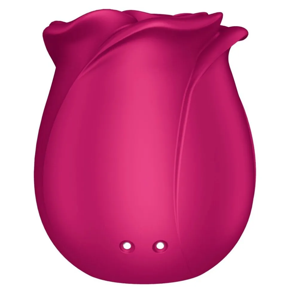 Satisfyer Pro 2 Classic Blossom Air Pulse Vibrator