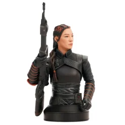 Star Wars Fennec Shand Figuur