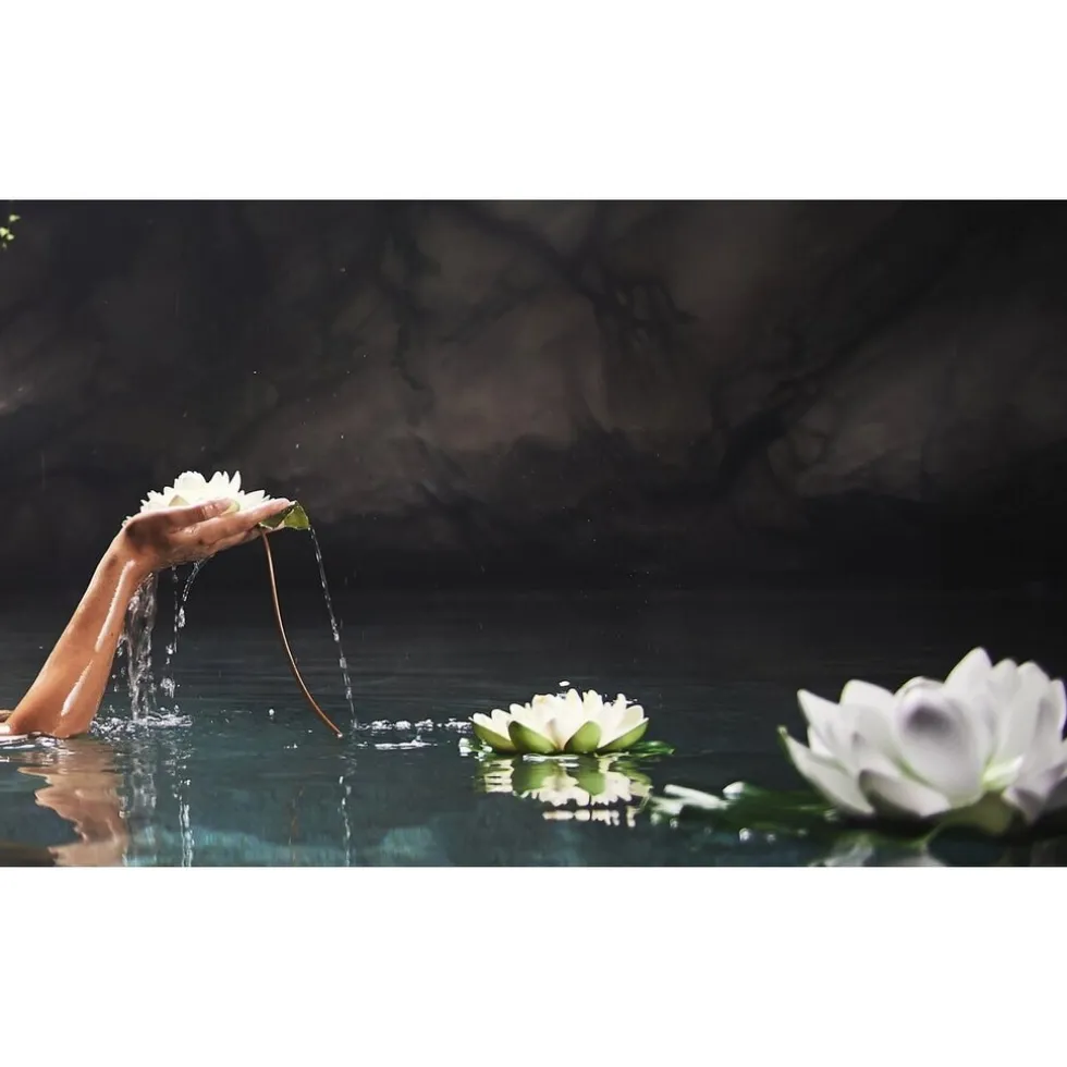 Therme Zen White Lotus Massageolie