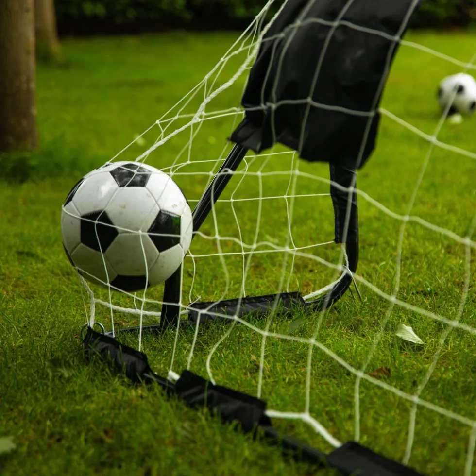 VirtuFit Voetbaldoel met Doelwand